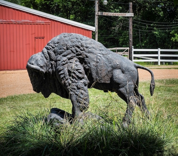 This buffalo statue outside the Kueker homestead in Waterloo will soon have a new home on the Monroe County Courthouse lawn. Inset photo is of the late Edd Kueker.  (Alan Dooley photo)