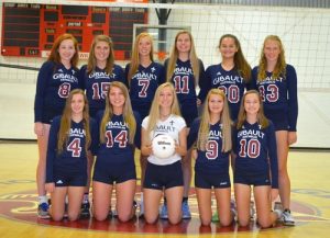 Members of the 2016 Gibault Catholic High School volleyball team are, from left, front row, Haley Davitz, Kelly Dooley, Rachel Lindauer, Kayla Huels and Mary Wessel; and back row: Hillary Wessel, Bailey Lehman, Caralyn Papenberg, Molly Branz, Ashlyn Wightman and Lexi Chambers. (Corey Saathoff photo)