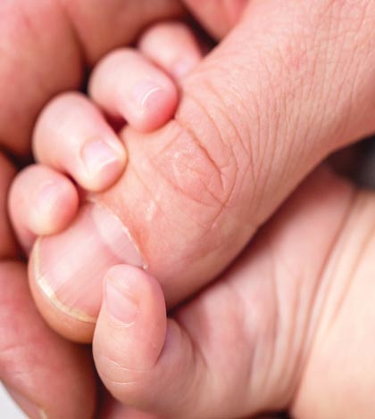 Birthhands