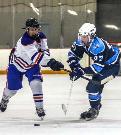 Freeburg-Waterloo's Adam Phelps (right) wrestles with a Columbia player in a race for the puck on Thursday night. (Greg Stanek photo)