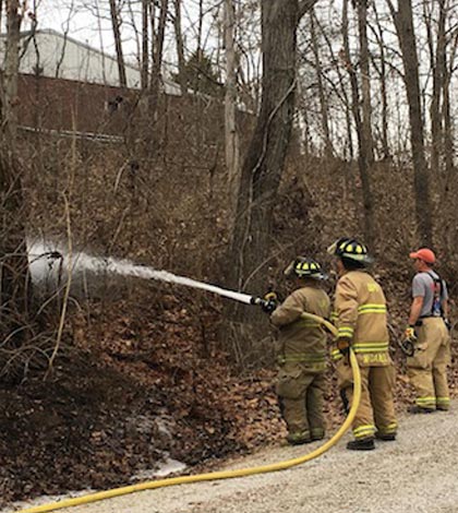 Firemen extinguish a brush fire on Arras Drive in rural East Carondelet early Monday afternoon. (Sean McGowan photo)