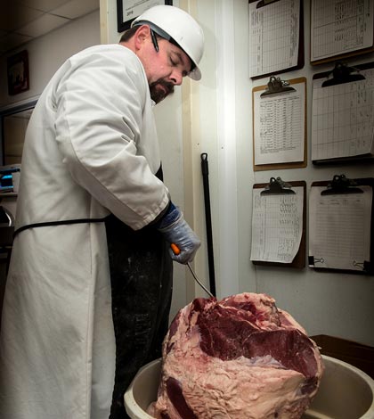 Schneider’s Quality Meats manager Harold “JR” Wallace hefts a large chunk of corned beef at the end of its 21-day curing period. 
(Alan Dooley photo)