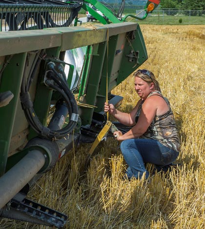 Jaimie Riechmann helps harvest wheat in a field west of old Valmeyer last week. (Alan Dooley photo)