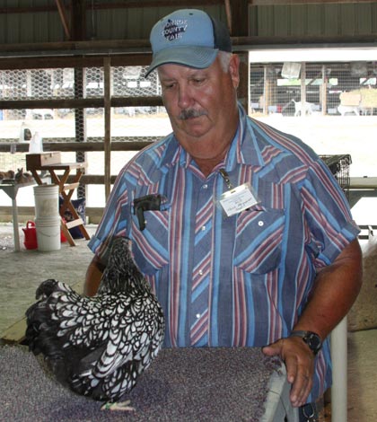 Pictured, Hank Marquardt admires his prize bird, a Silver-laced Wyandotte, that has won first in her class the last three years. (Sean McGowan photo)