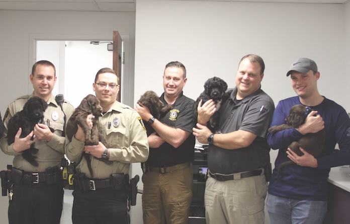 Puppies named after officer who took action