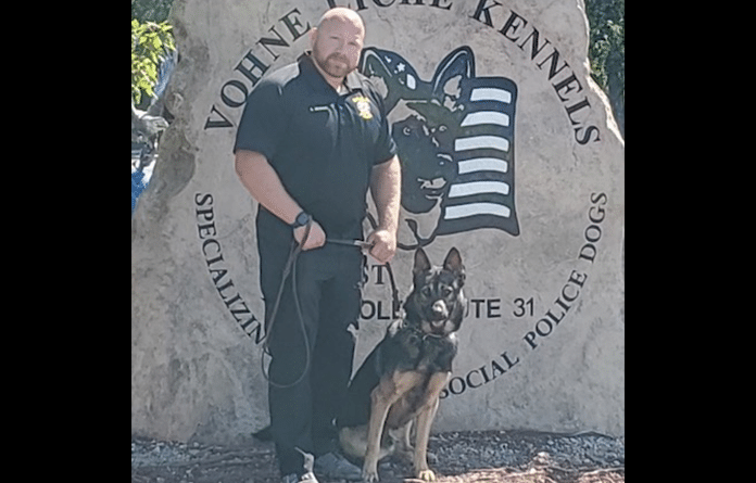 wpd k9 feat