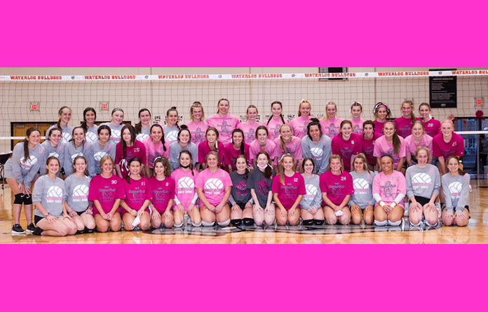 waterloo gibault dig pink FEAT