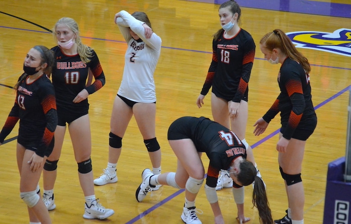 Bulldogs show grit in sectional final loss