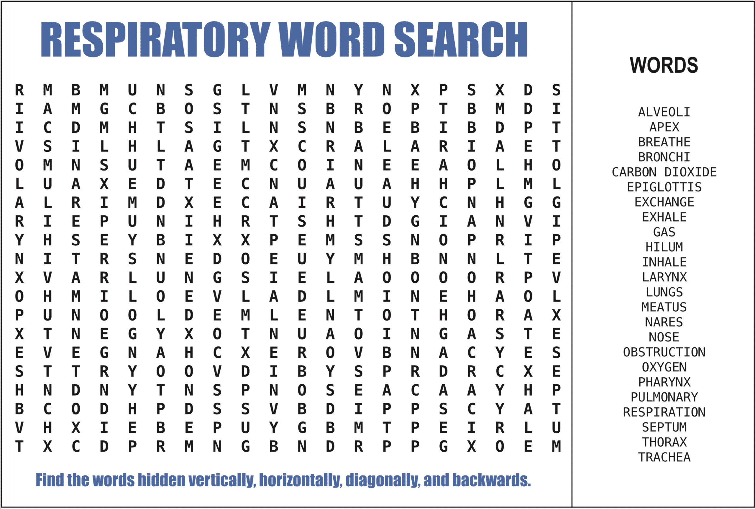 respiratory word search