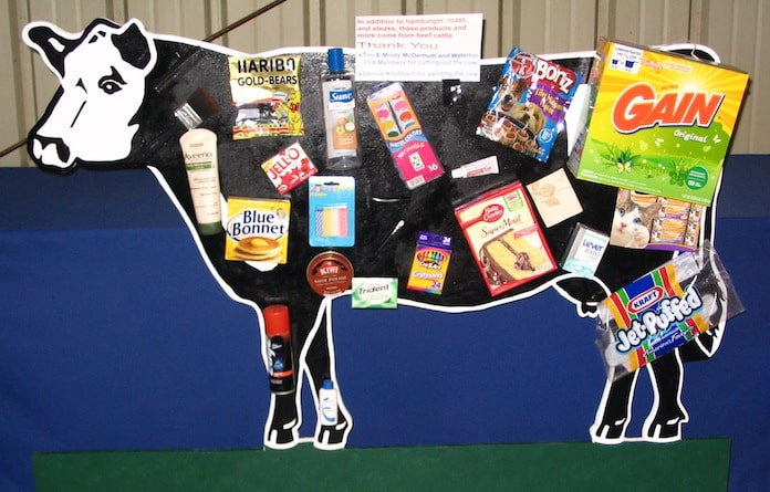 cow-by-products-display