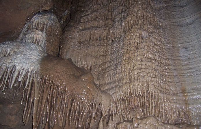 Illinois Caverns FEAT