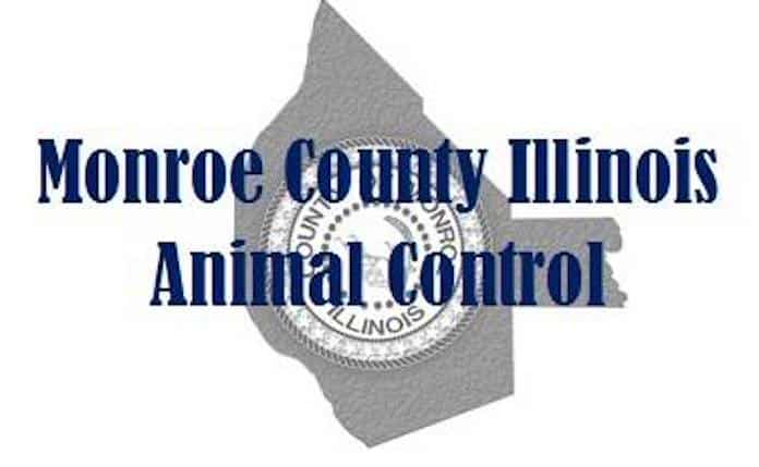 animal control