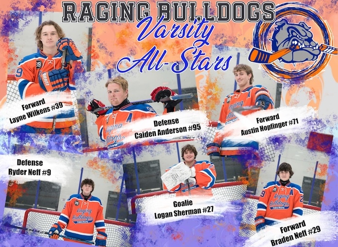 Bulldog all stars