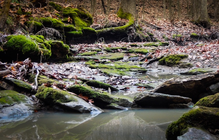 Storment Hauss NP creek