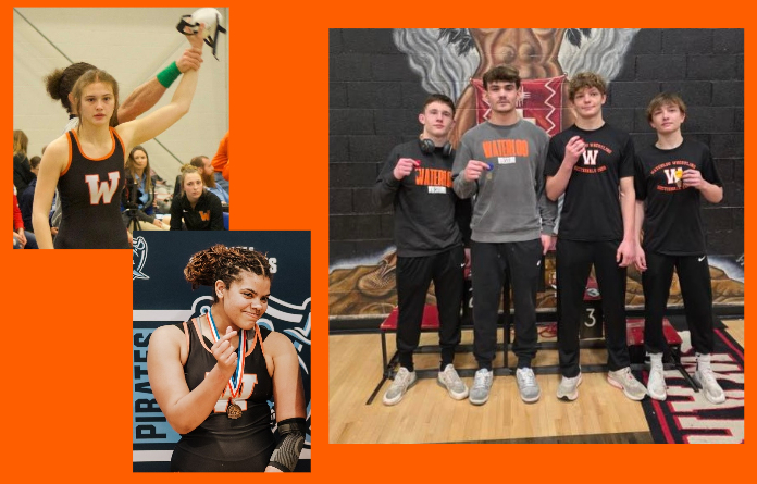 WHS state wrestling 2026