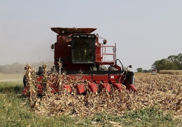 Harvest-23-FRONT-pic