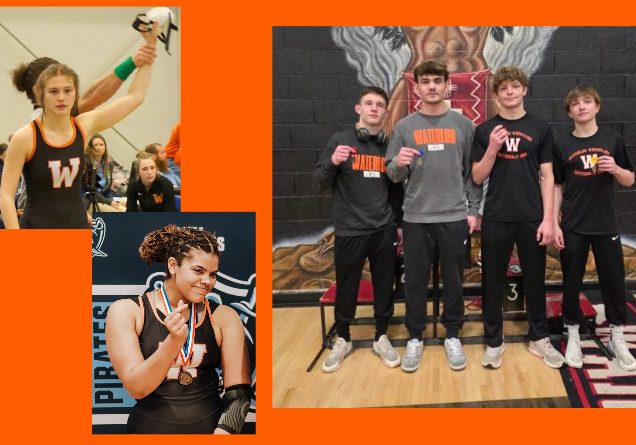 WHS state wrestling 2026