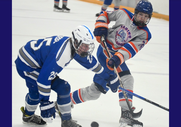 hockey playoffs 26 FEAT